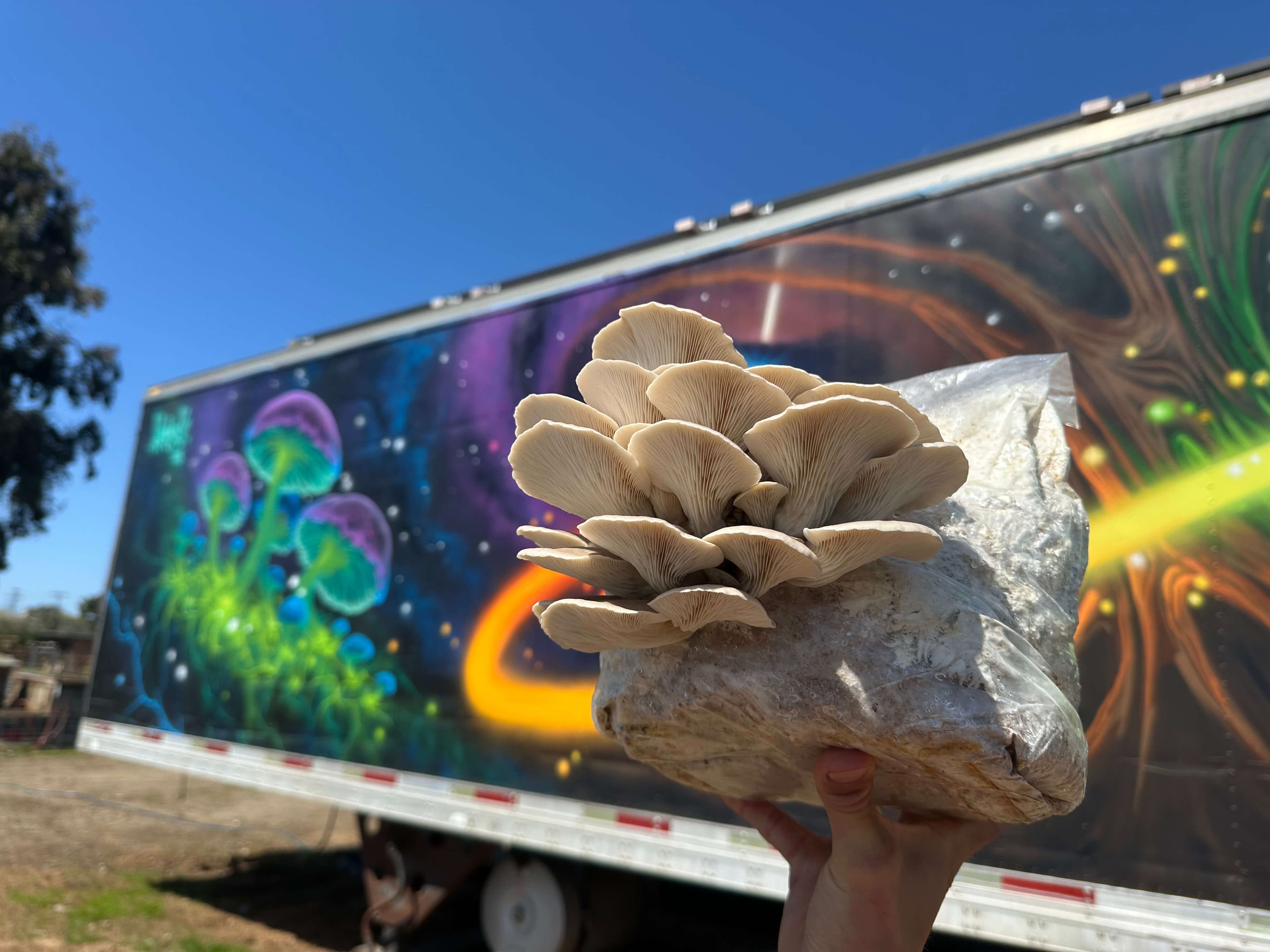 MushLoon growing facility
