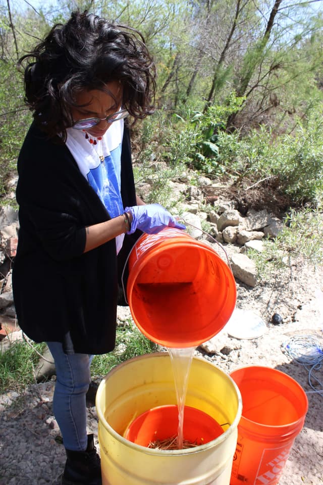 MushLoon's mycoremediation project in the Tijuana River