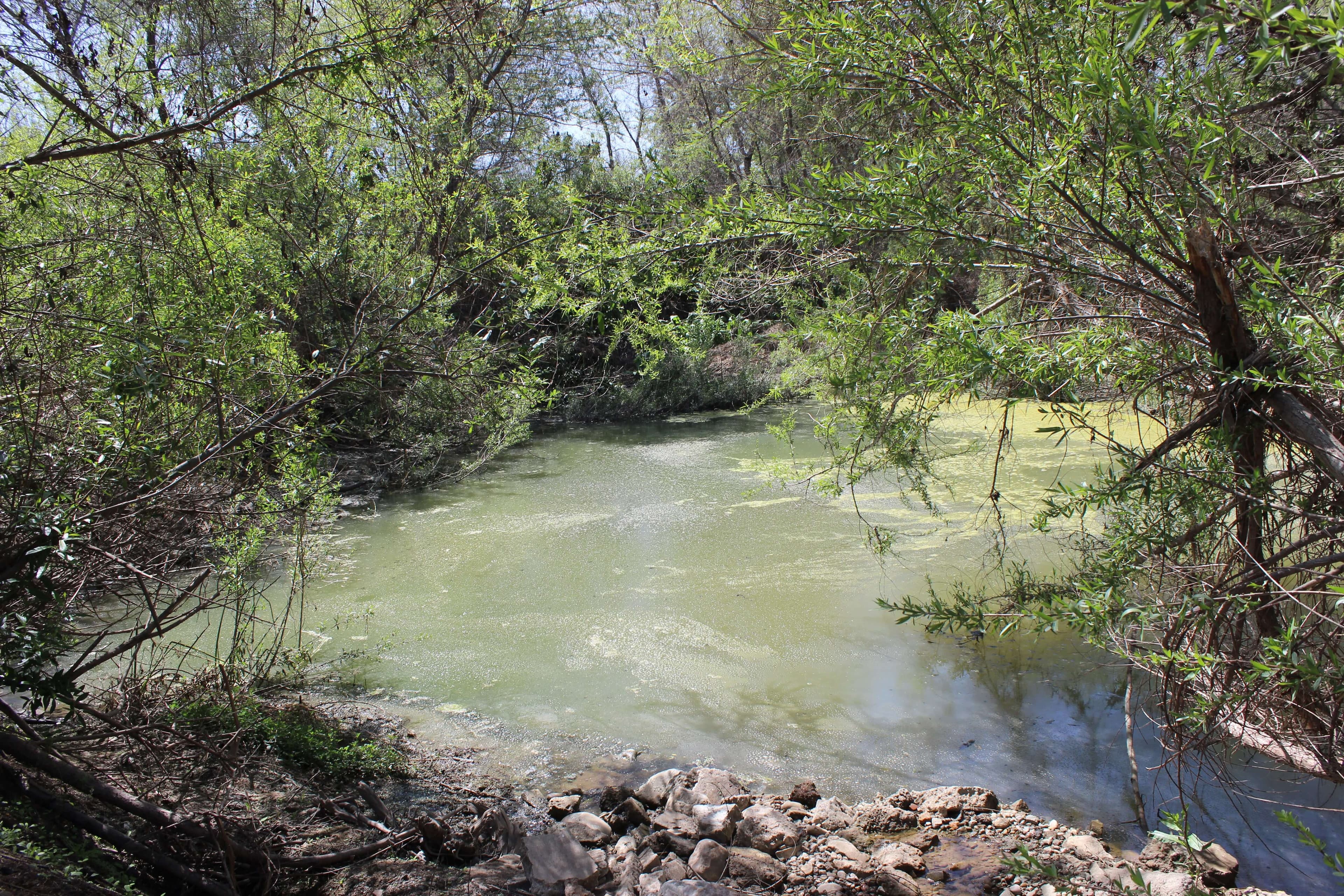 Tijuana River pollution